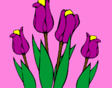 Desenho Tulipa pintado por monik