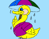 Desenho Pato sob a chuva pintado por mariana