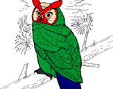 Desenho Coruja real americana pintado por LULU