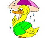 Desenho Pato sob a chuva pintado por LARICE