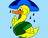 Desenho Pato sob a chuva pintado por luma moraes furlan