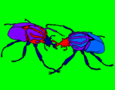 Desenho Escaravelhos pintado por anónimo