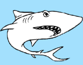 Desenho Tubarão pintado por TUBARAO