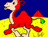 Desenho Camelo pintado por igor