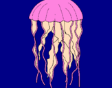 Desenho Medusa pintado por alexander