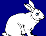 Desenho Lebre pintado por coelho
