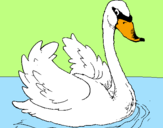 Desenho Cisne na água pintado por RODRIGO