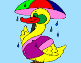 Desenho Pato sob a chuva pintado por LAURA