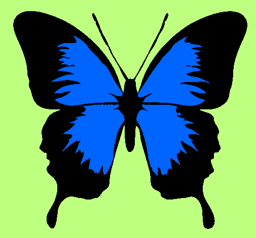 Desenho Borboleta com asas negras pintado por borboleta azul