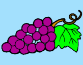 Desenho Uvas pintado por pim