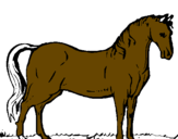 Desenho Cavalo andaluz pintado por justin  biber