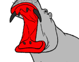 Desenho Hipopótamo com a boca aberta pintado por nicolascaçoli