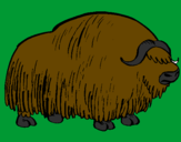 Desenho Bisonte  pintado por camila