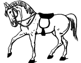 Desenho Cavalo de competição pintado por cavalo marinho
