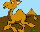 Desenho Camelo pintado por Taliia