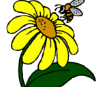 Desenho Margarida com abelha pintado por lyly