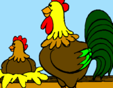 Desenho Galo e galinha pintado por FABRÍCIO