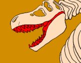 Desenho Esqueleto tiranossauro rex pintado por marcos