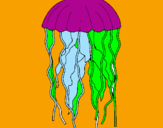 Desenho Medusa pintado por asdw