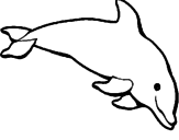 Desenho Golfinho contente pintado por cavalo marinho