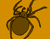 Desenho Aranha venenosa pintado por marcos