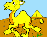 Desenho Camelo pintado por victoria   maraia