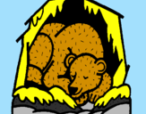 Desenho Urso a hibernar pintado por millena