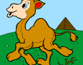 Desenho Camelo pintado por maria eduarda