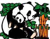 Desenho Mamã panda pintado por Henriq