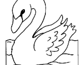 Desenho Cisne pintado por cisne
