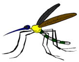 Desenho Mosquito pintado por salahaldin