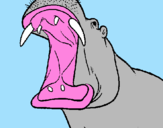 Desenho Hipopótamo com a boca aberta pintado por ranniely