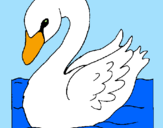 Desenho Cisne pintado por isabella