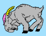 Desenho Cabra aborrecida pintado por victoria   maraia