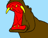 Desenho Hipopótamo com a boca aberta pintado por gmd
