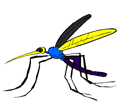 Desenho Mosquito pintado por gisele