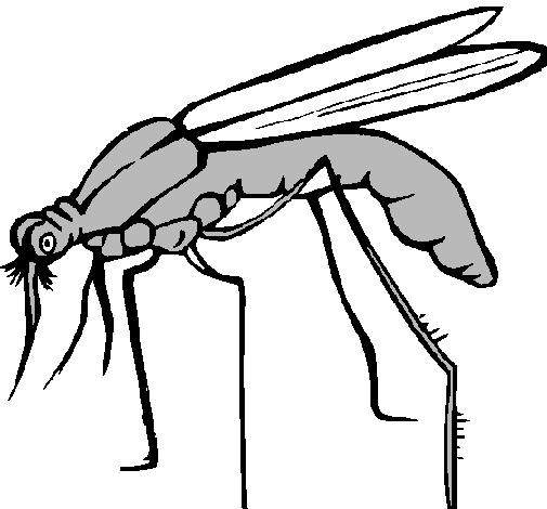 Desenho Mosquito pintado por Tiago