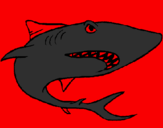 Desenho Tubarão pintado por Ecko Unlimited