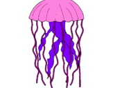 Desenho Medusa pintado por kaleb