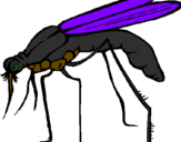 Desenho Mosquito pintado por mateusportelalidoufo