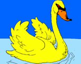 Desenho Cisne na água pintado por gabriel