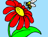 Desenho Margarida com abelha pintado por gabriel feitosa