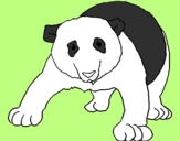 Desenho Urso panda pintado por roxi