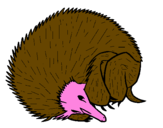 Desenho Ouriço pintado por lucassauro marinho