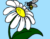 Desenho Margarida com abelha pintado por Marcos