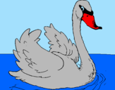 Desenho Cisne na água pintado por thales