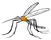 Desenho Mosquito pintado por Tiago