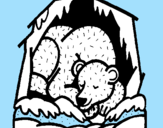 Desenho Urso a hibernar pintado por  ana clara