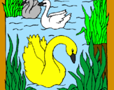Desenho Cisnes pintado por ZIELA