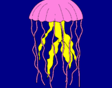 Desenho Medusa pintado por fer